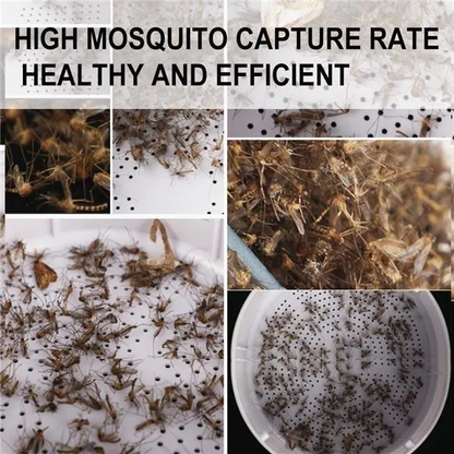 USB New Mosquito Led Killer Lamp Big Size